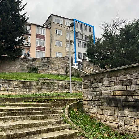 Apartment Park View 301